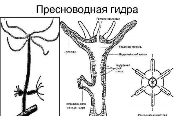 Kraken 2 зеркало