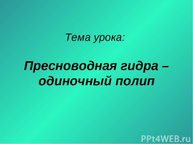 Ссылки на сайты даркнета